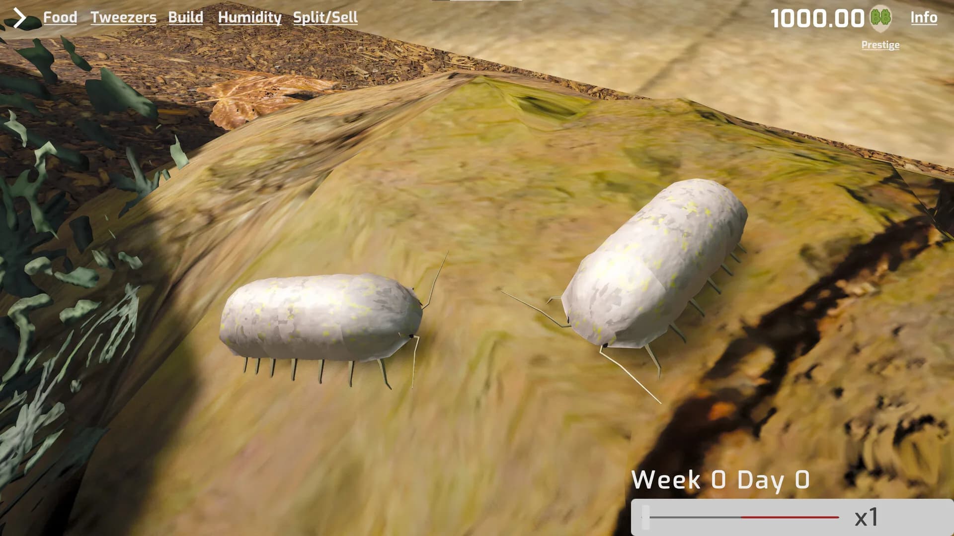 Isopod Keeping Simulator görsel 6