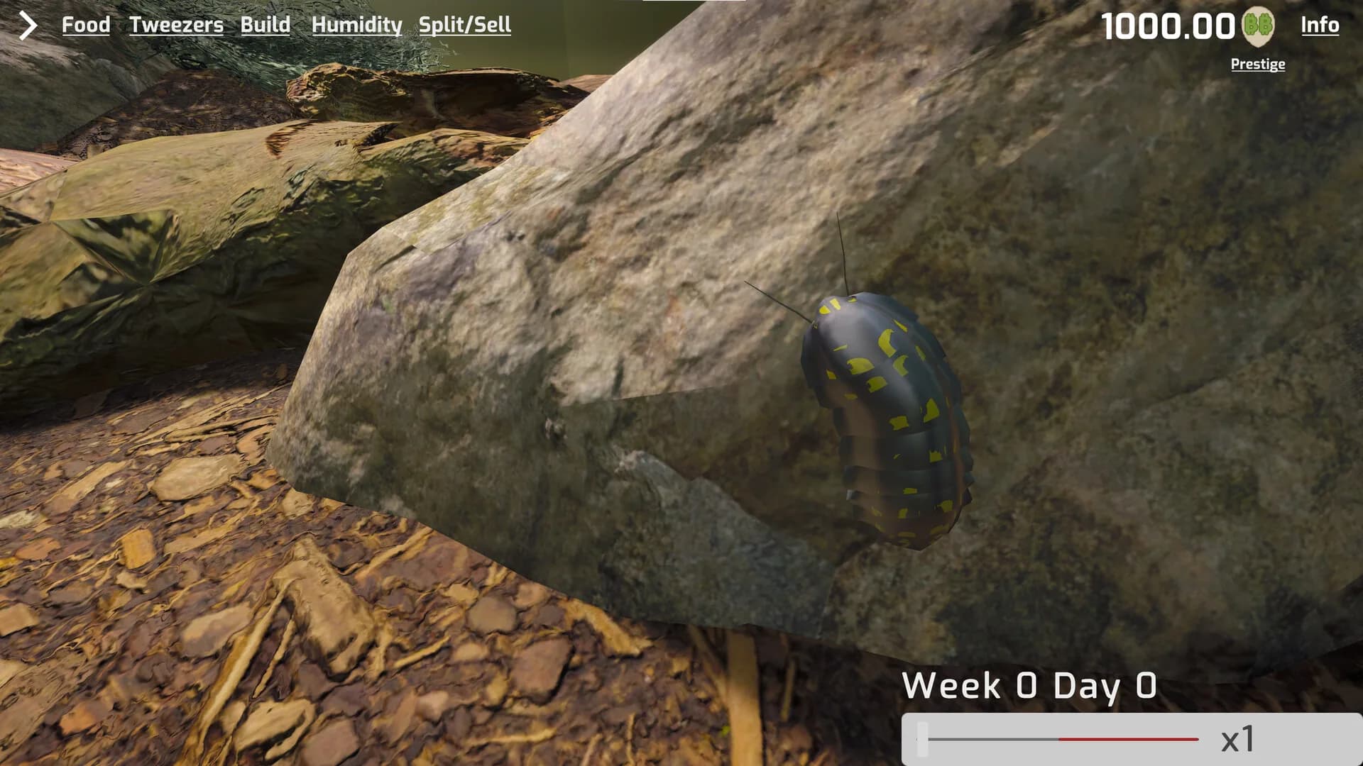 Isopod Keeping Simulator görsel 9