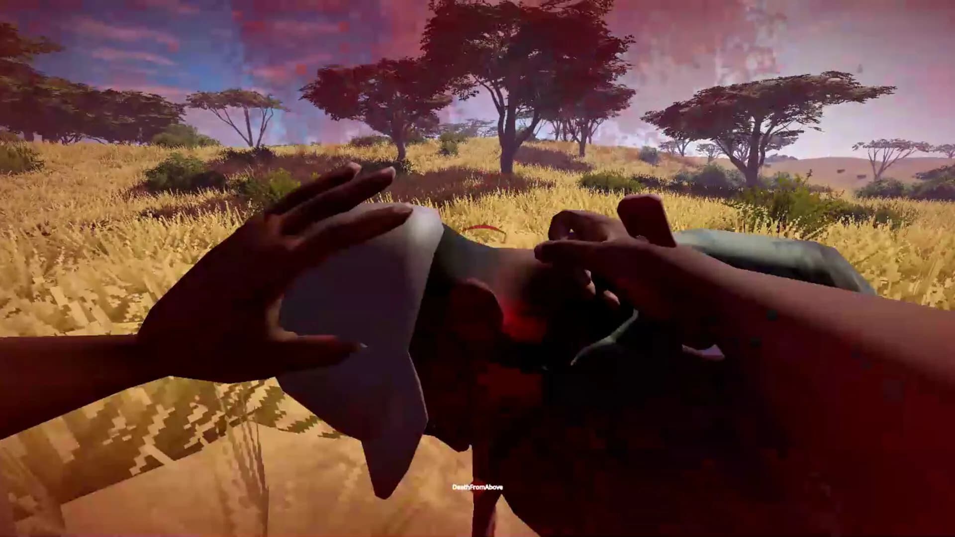 Red Tears: Angola görsel 16
