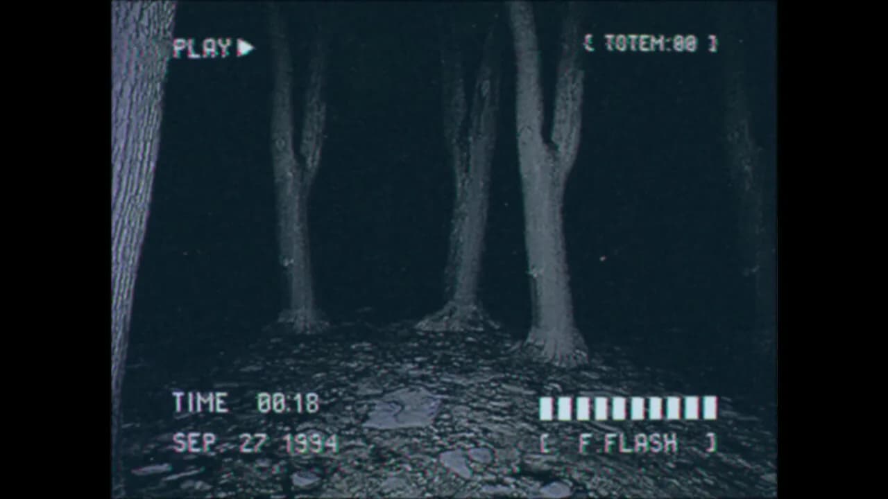 Lost Footage : Sound In The Silence görsel 3