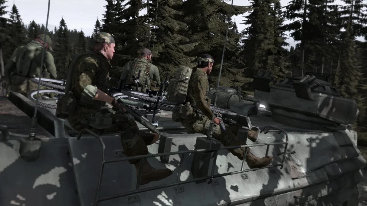 Arma 2 görsel 2