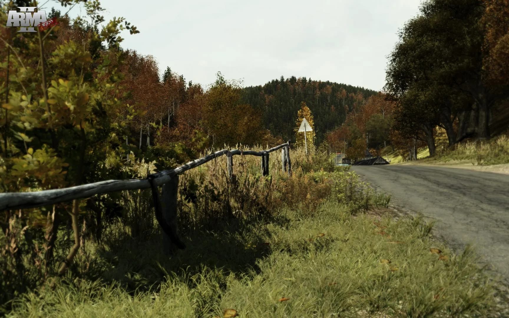 Arma 2 görsel 14