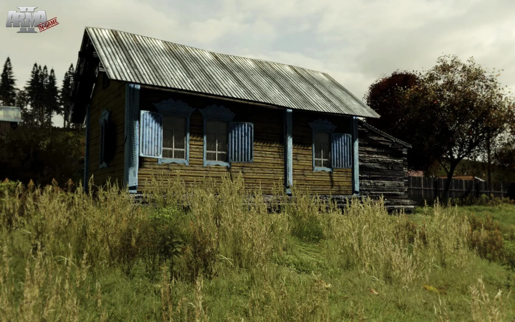 Arma 2 görsel 16