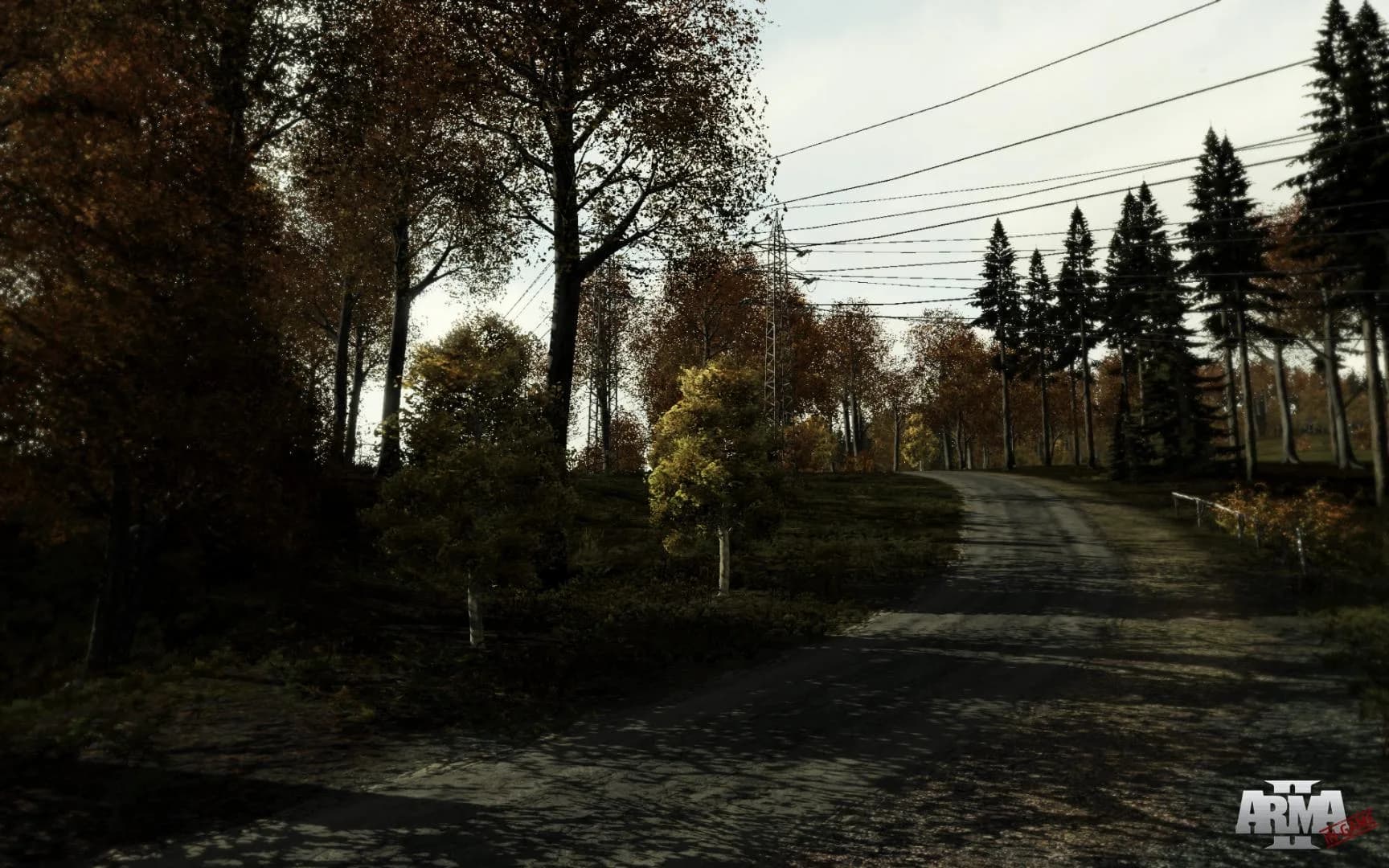 Arma 2 görsel 18