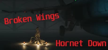 Broken Wings: Hornet Down