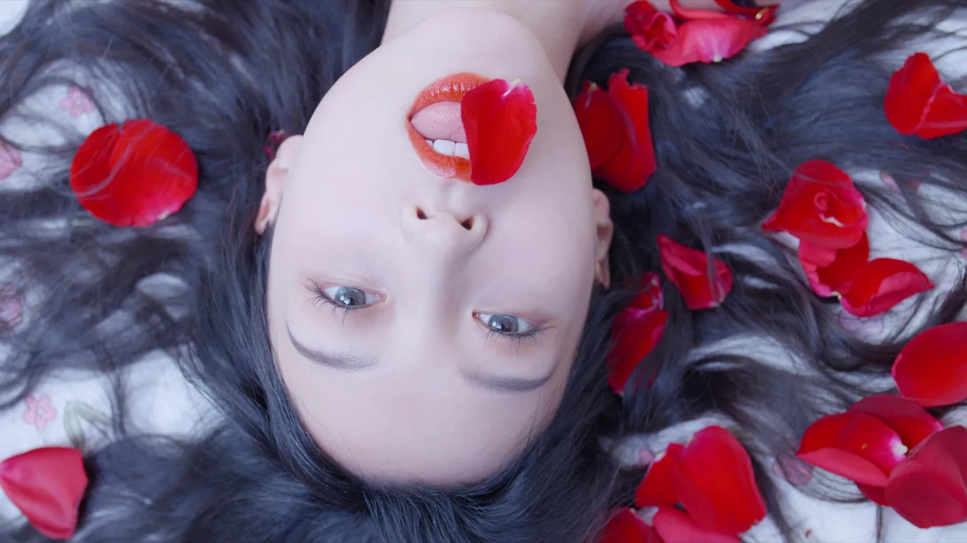 哎呦!这么多美女呀! görsel 11