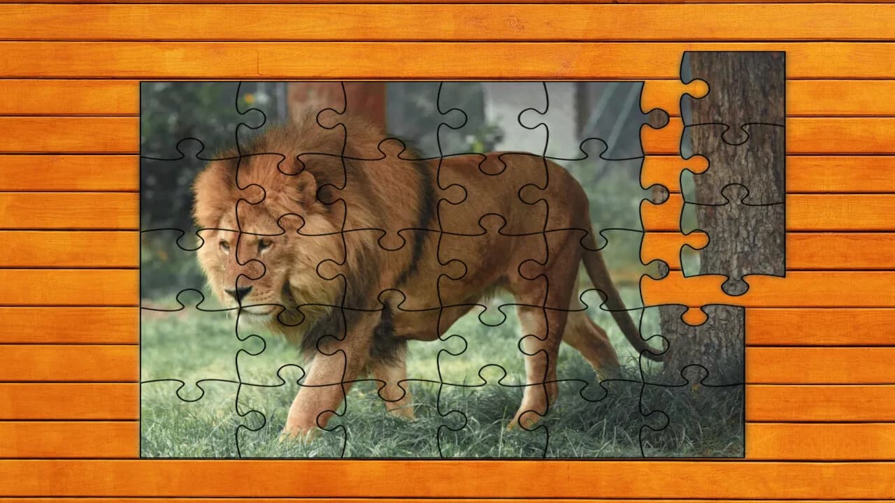 Big Cat Jigsaw Quest görsel 2