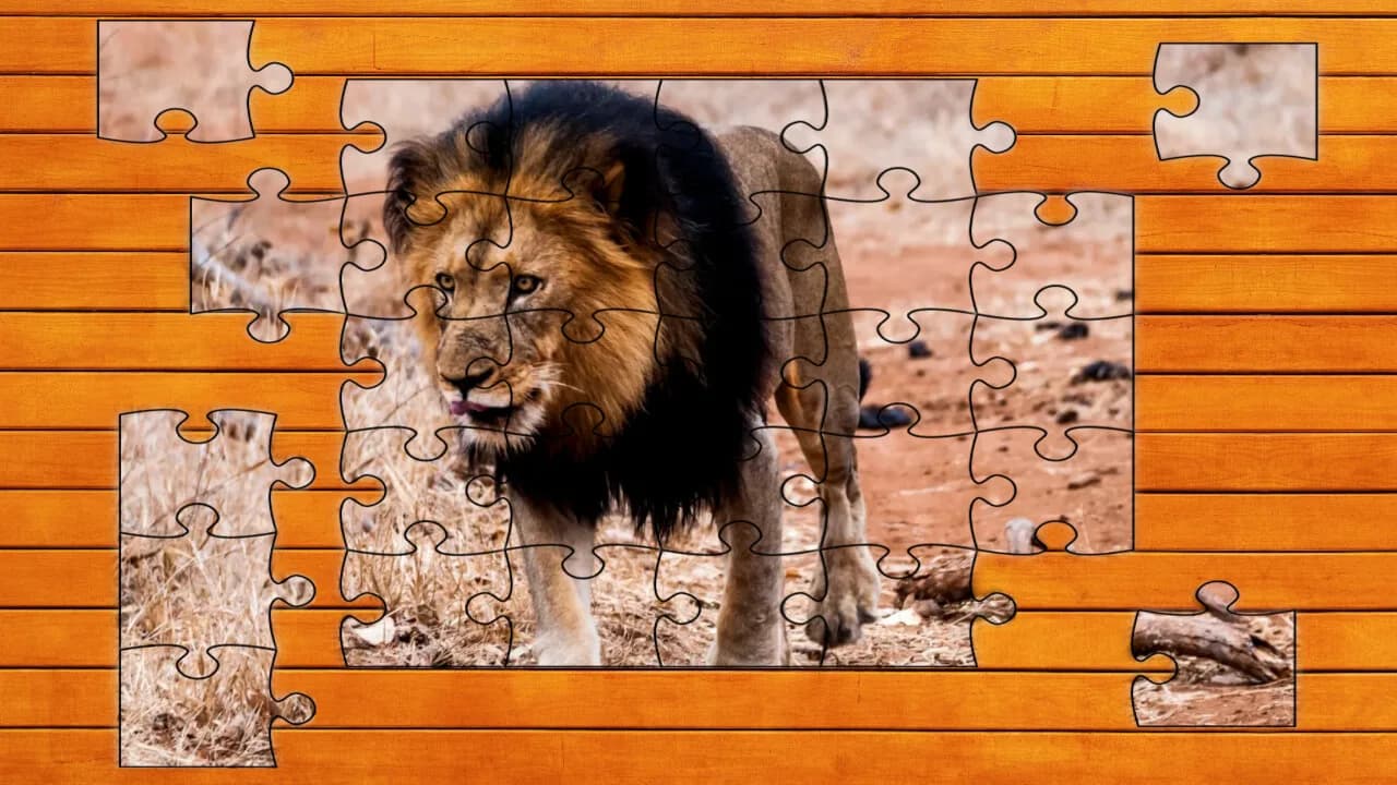 Big Cat Jigsaw Quest görsel 4