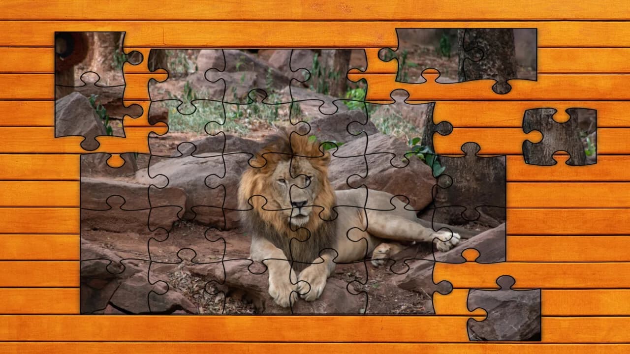 Big Cat Jigsaw Quest görsel 5