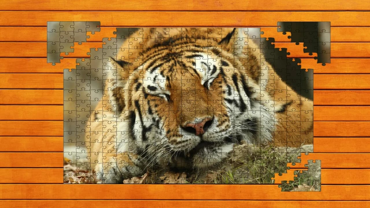 Big Cat Jigsaw Quest görsel 6