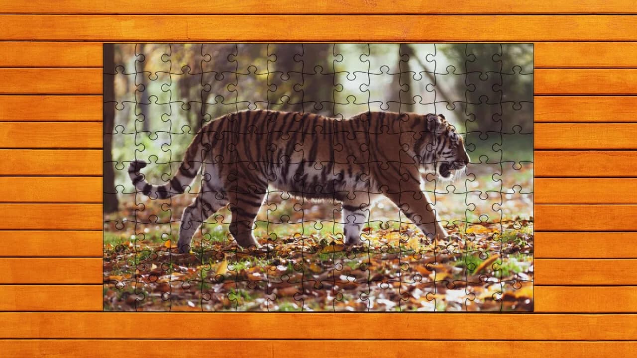 Big Cat Jigsaw Quest görsel 7