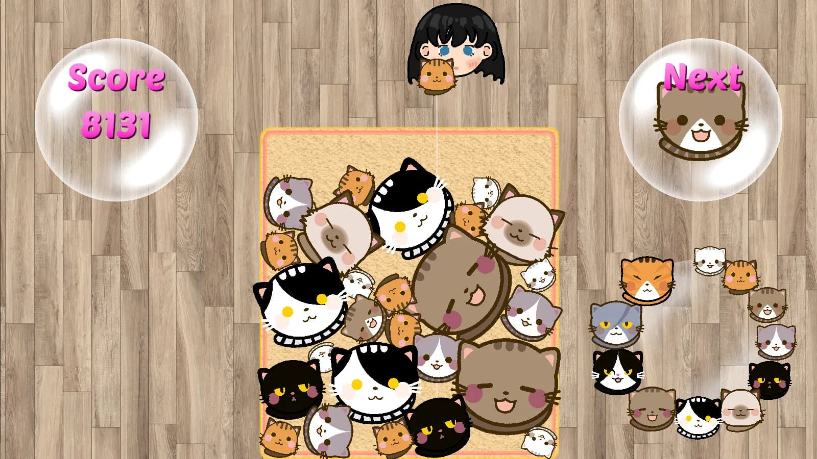 SuiCats görsel 3