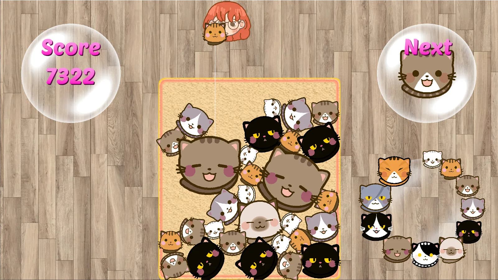 SuiCats görsel 12