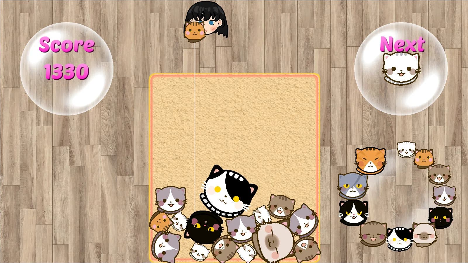 SuiCats görsel 7