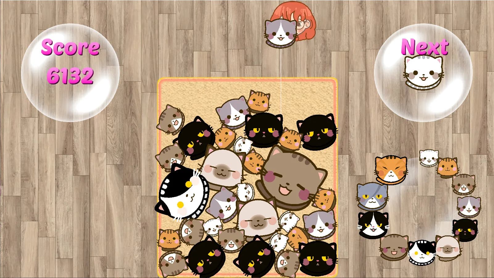 SuiCats görsel 8