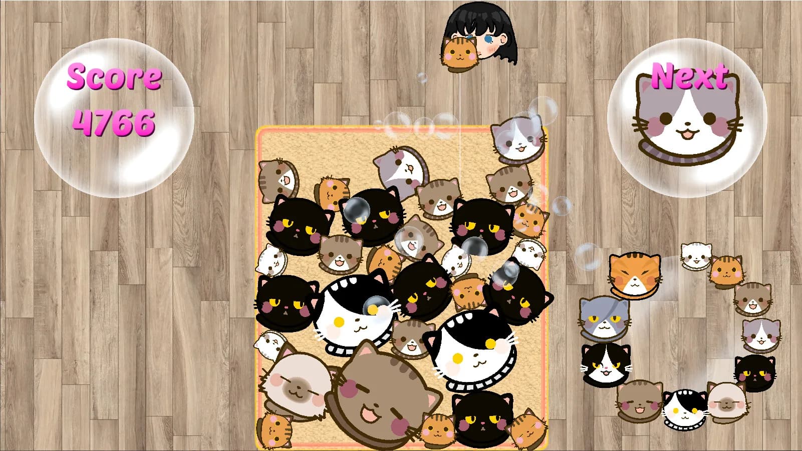 SuiCats görsel 9