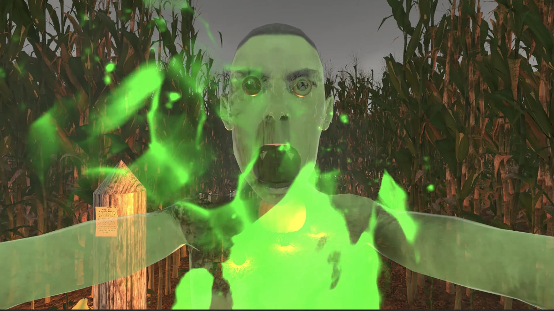 MAiZE görsel 3