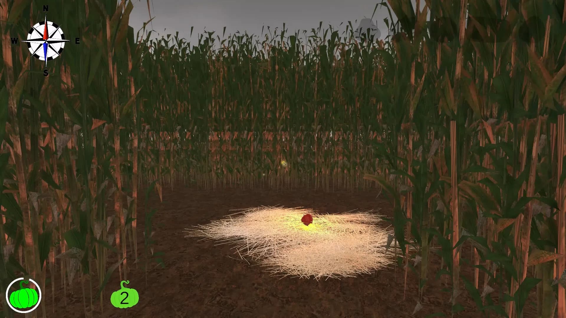 MAiZE görsel 15