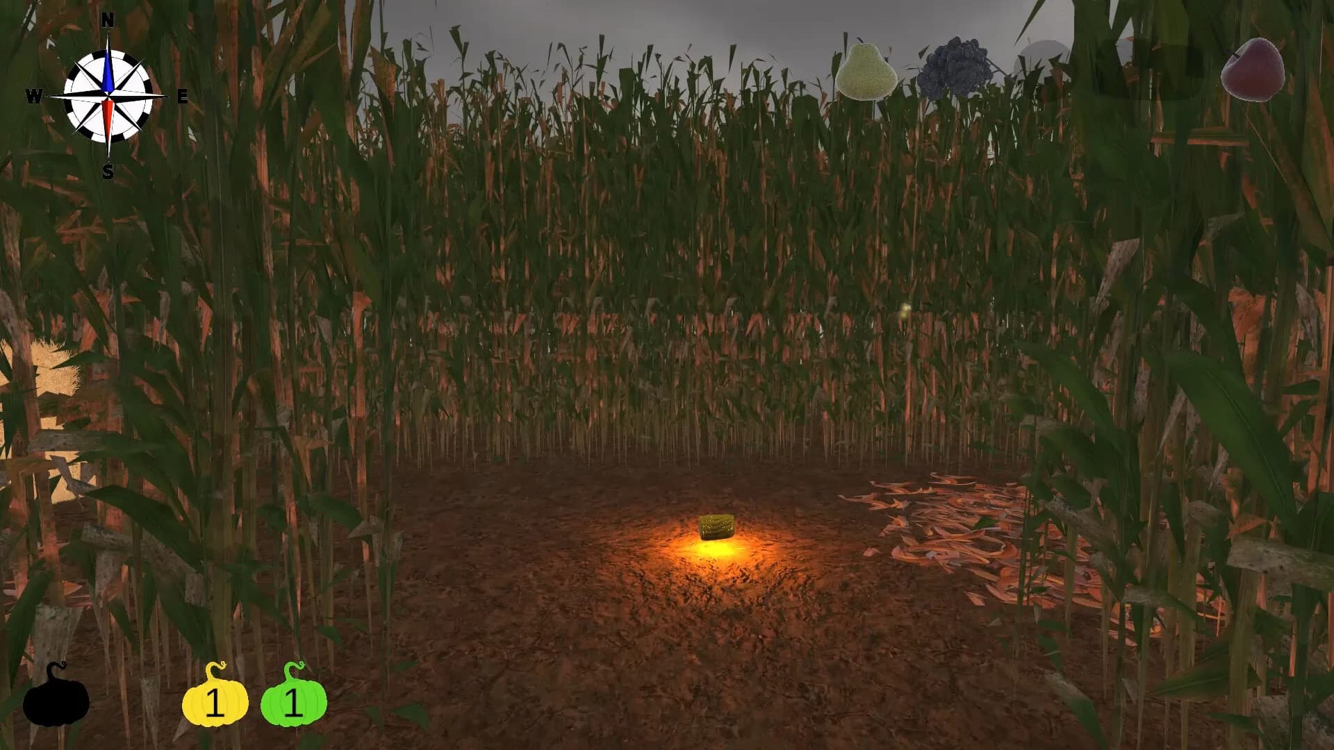 MAiZE görsel 16