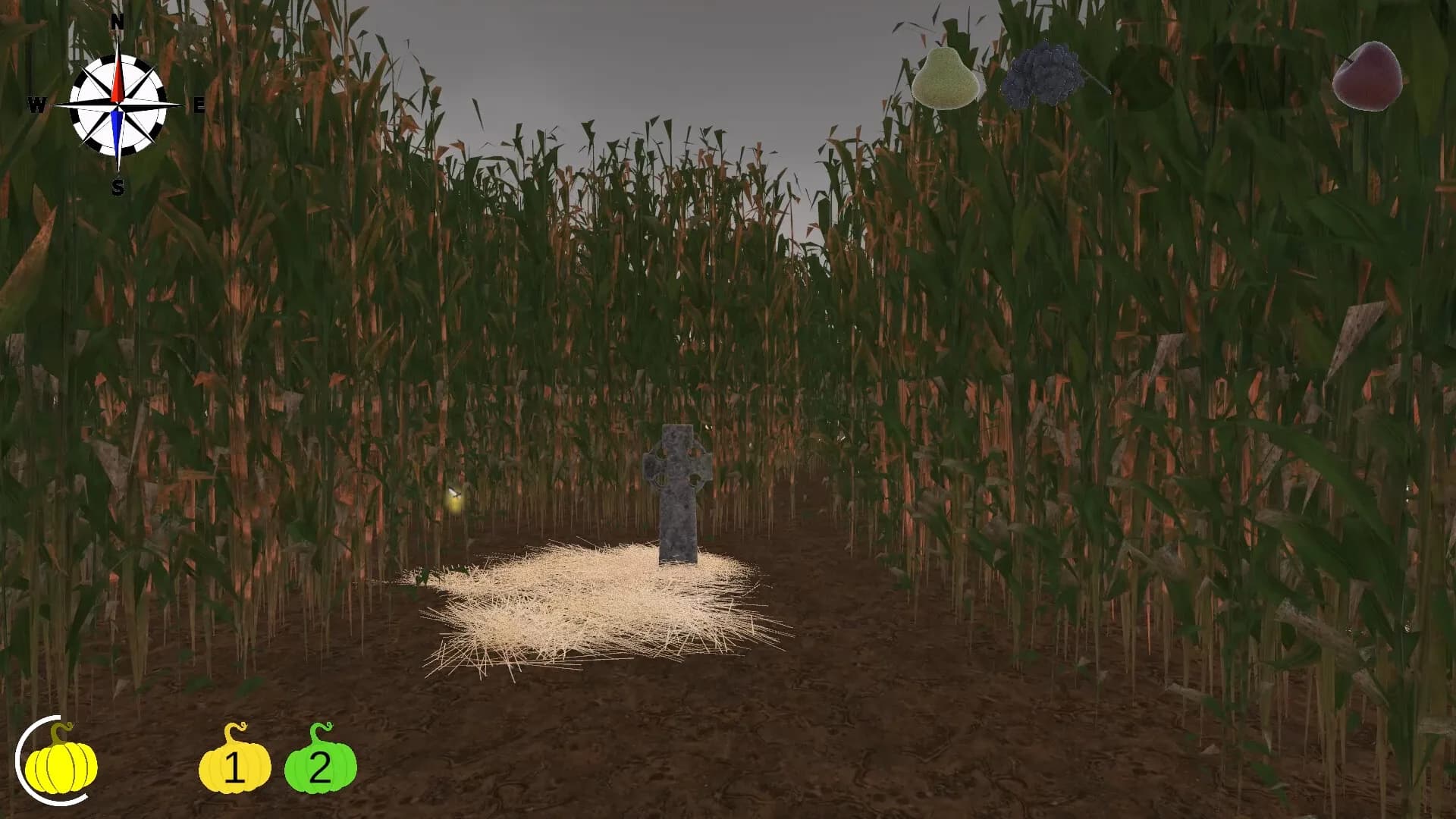 MAiZE görsel 20