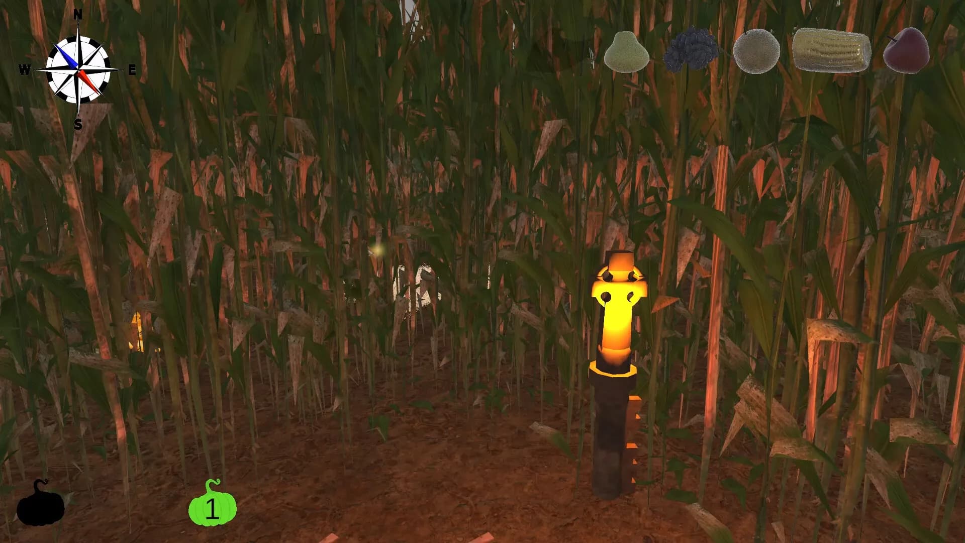 MAiZE görsel 21