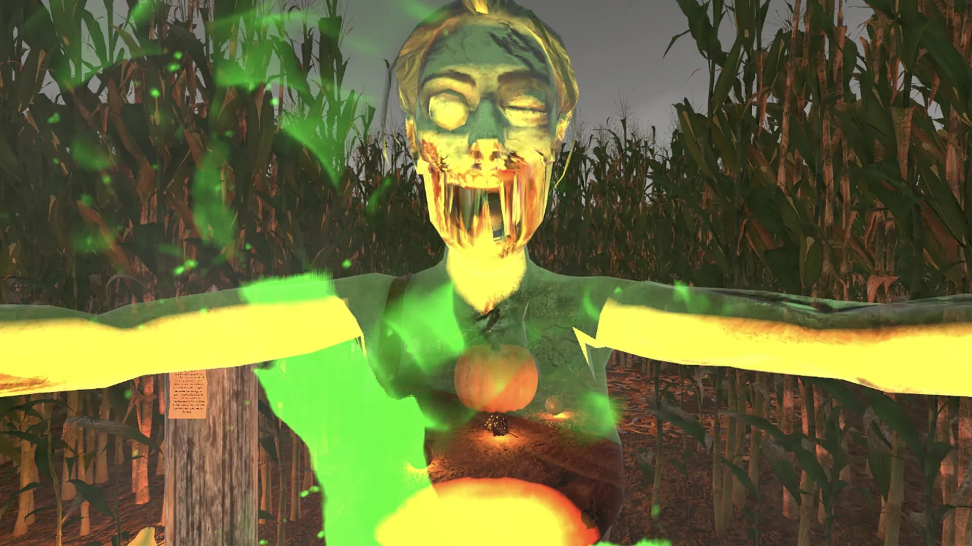 MAiZE görsel 4