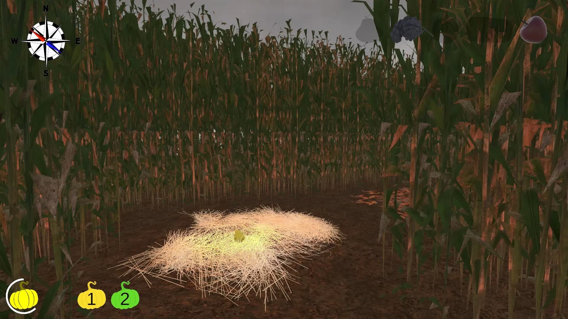 MAiZE görsel 23