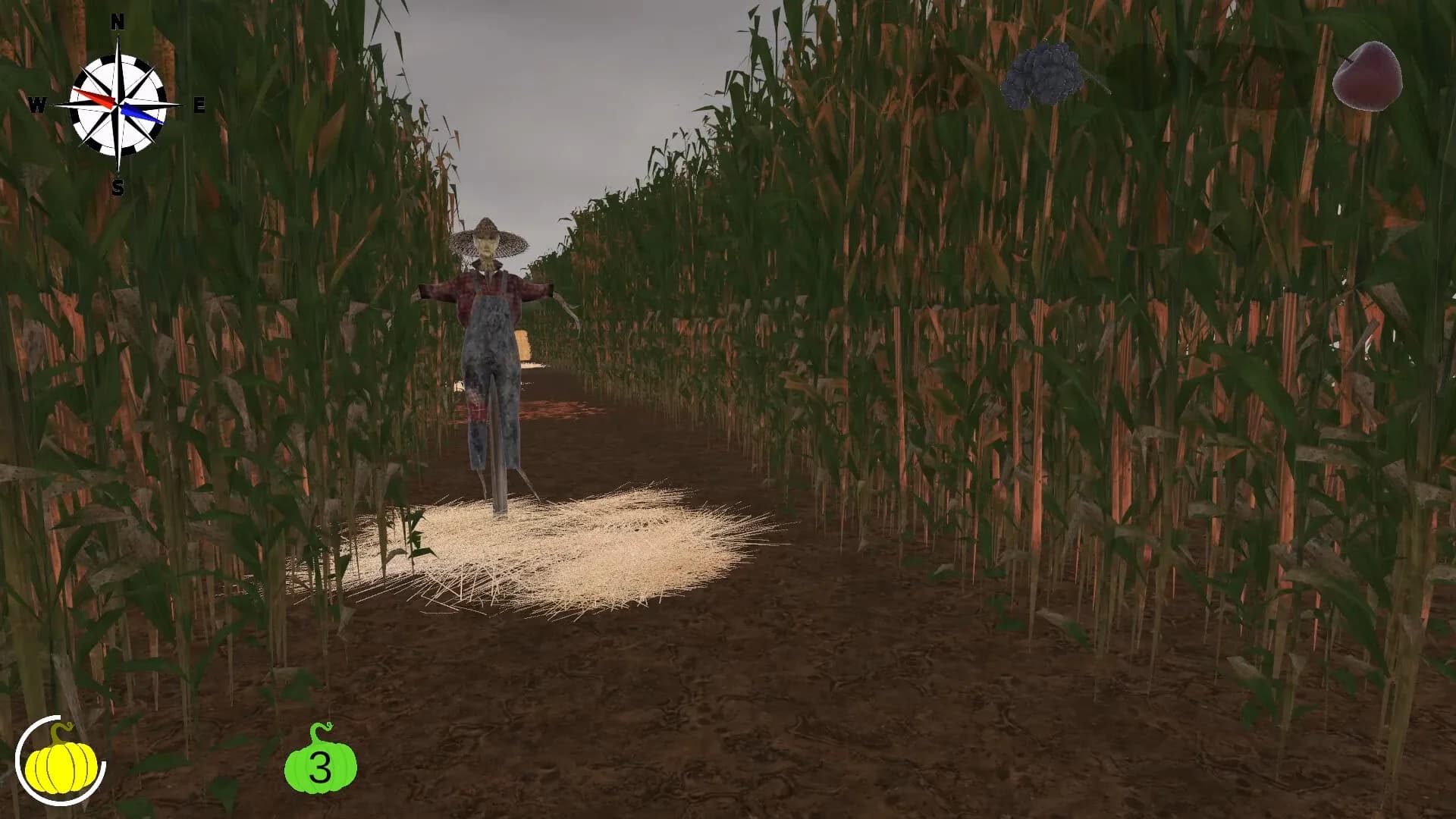 MAiZE görsel 26