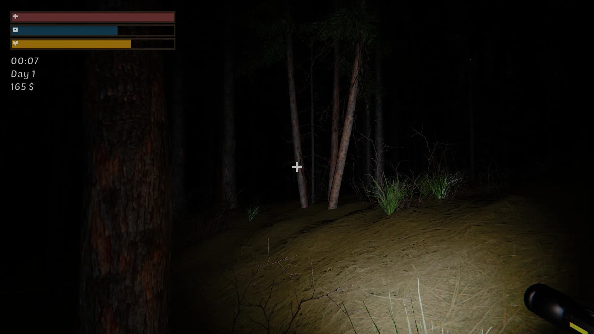 Pohinki Simulator görsel 4