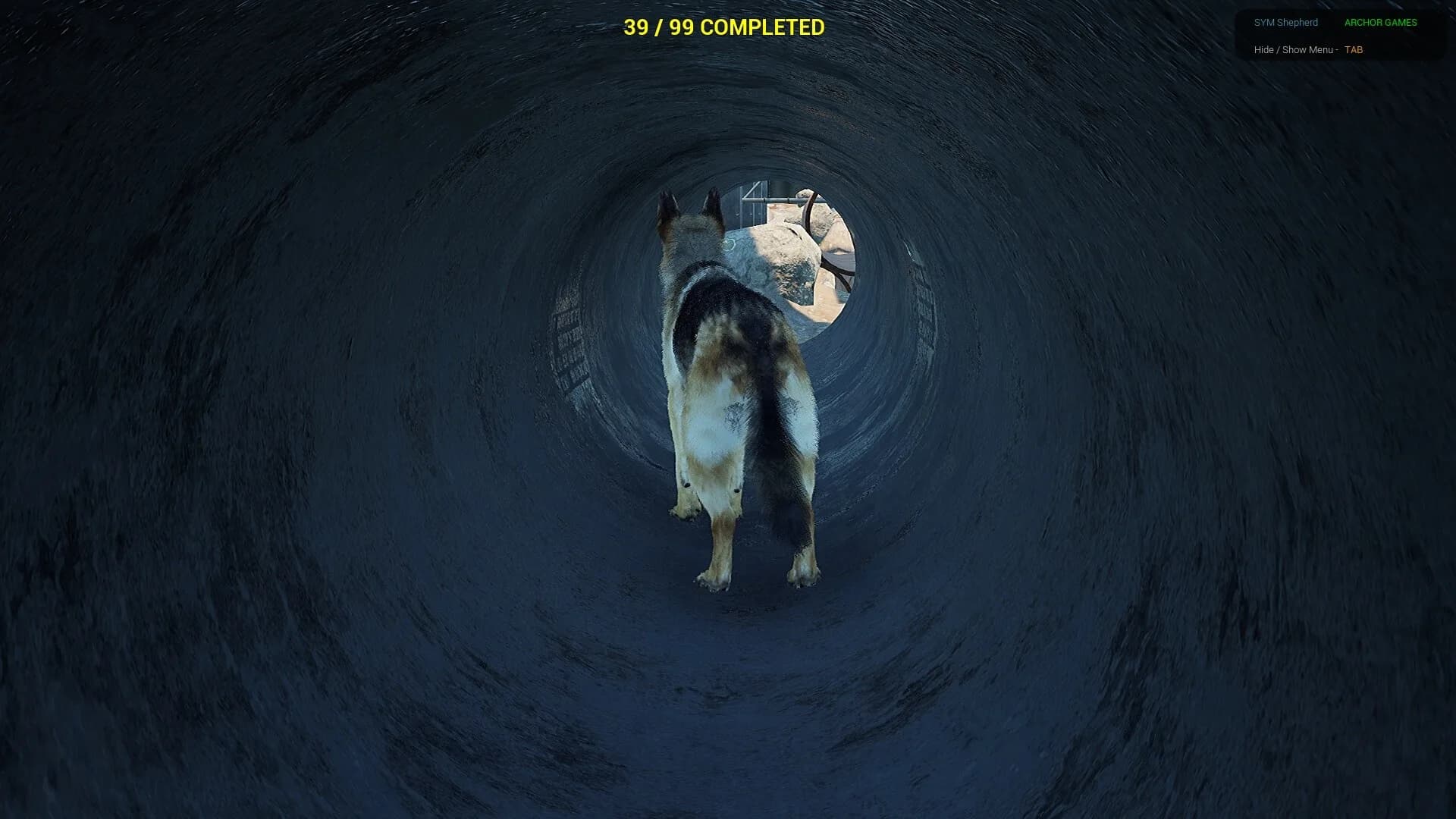 SYM Shepherd görsel 7