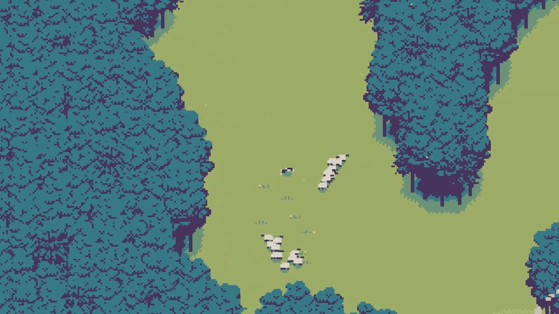 Sheepdog görsel 3