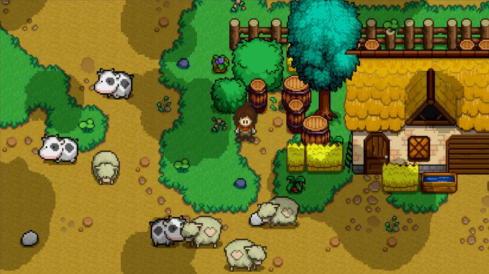 Timora Isle görsel 9