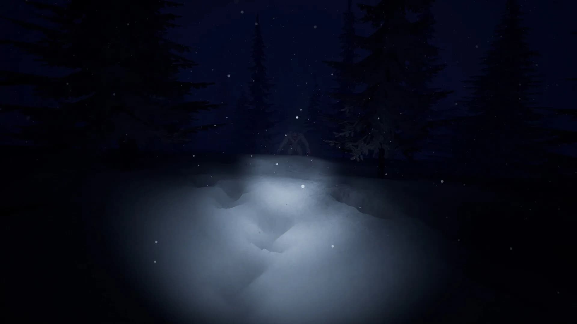 Frostbite görsel 3