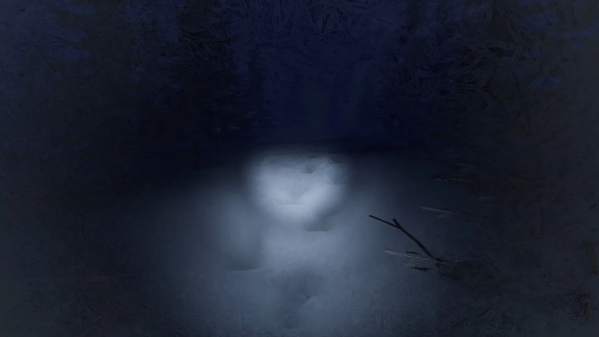 Frostbite görsel 4