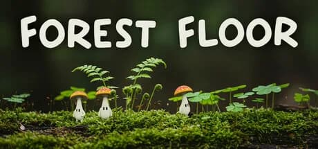 Forest Floor görsel 1