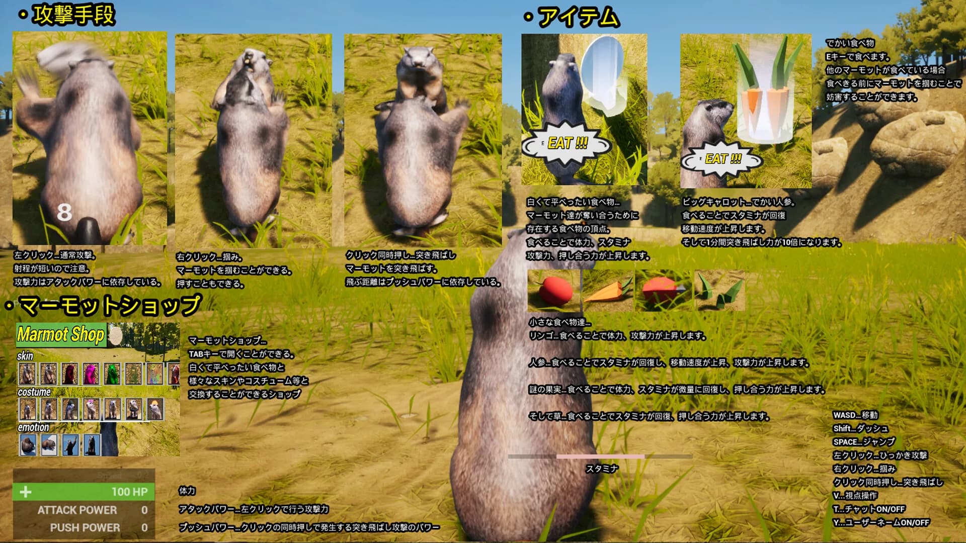Marmot Fight Club görsel 2