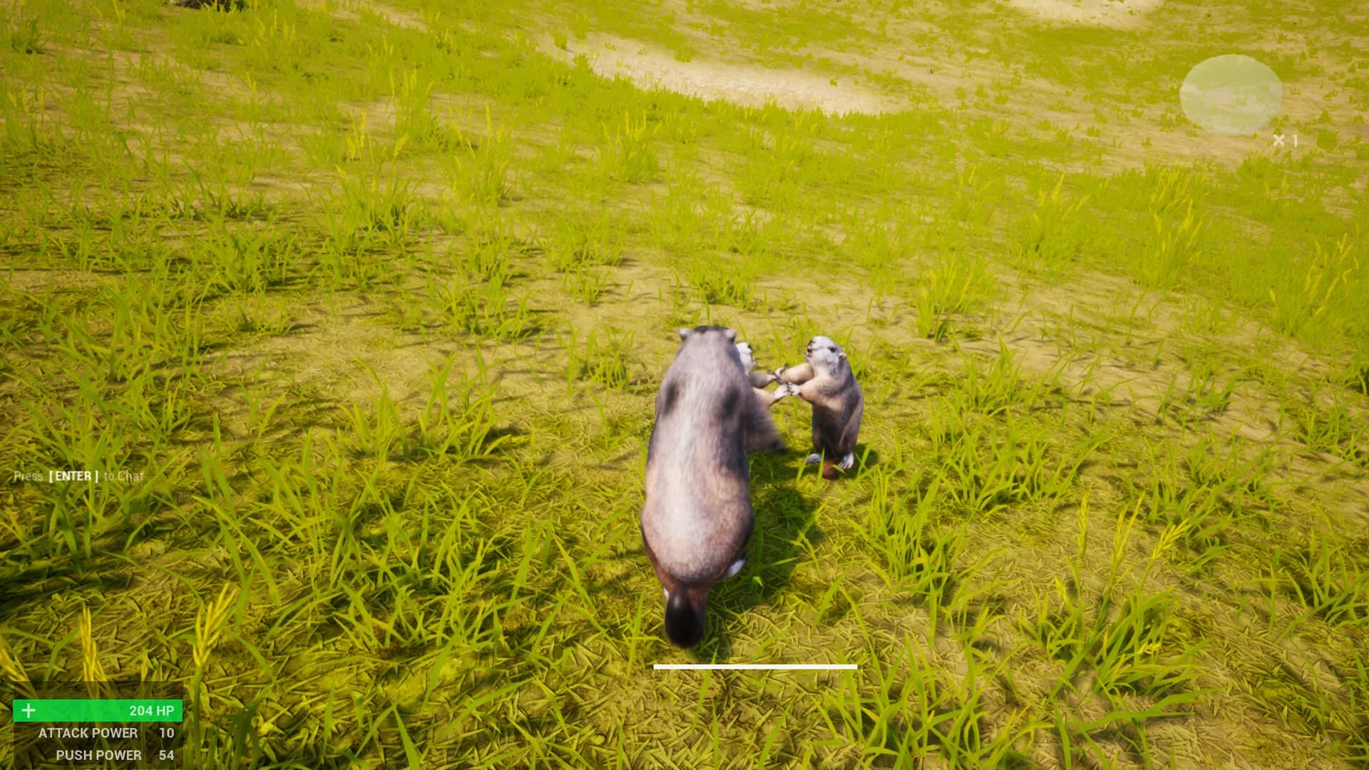 Marmot Fight Club görsel 8