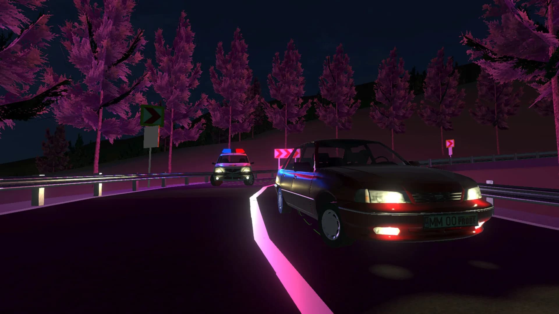 Transylvania Drift görsel 9