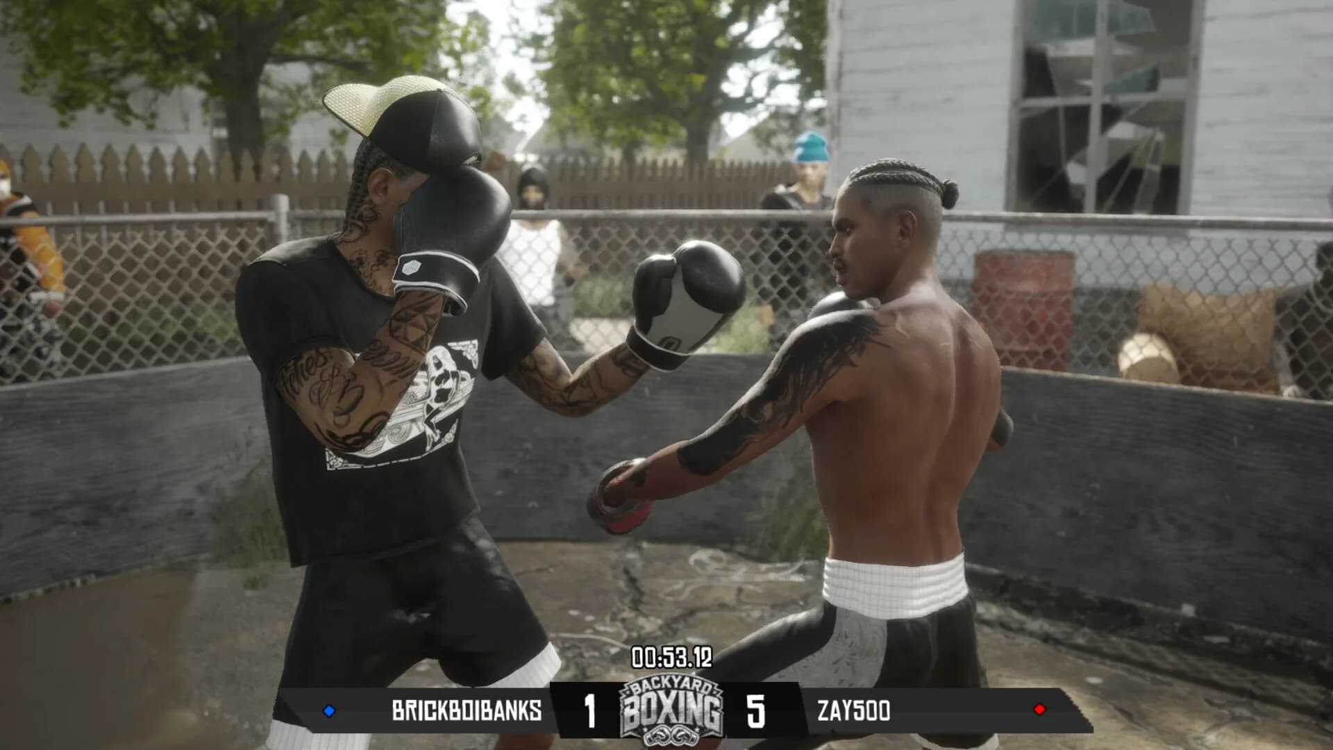 Backyard Boxing görsel 2