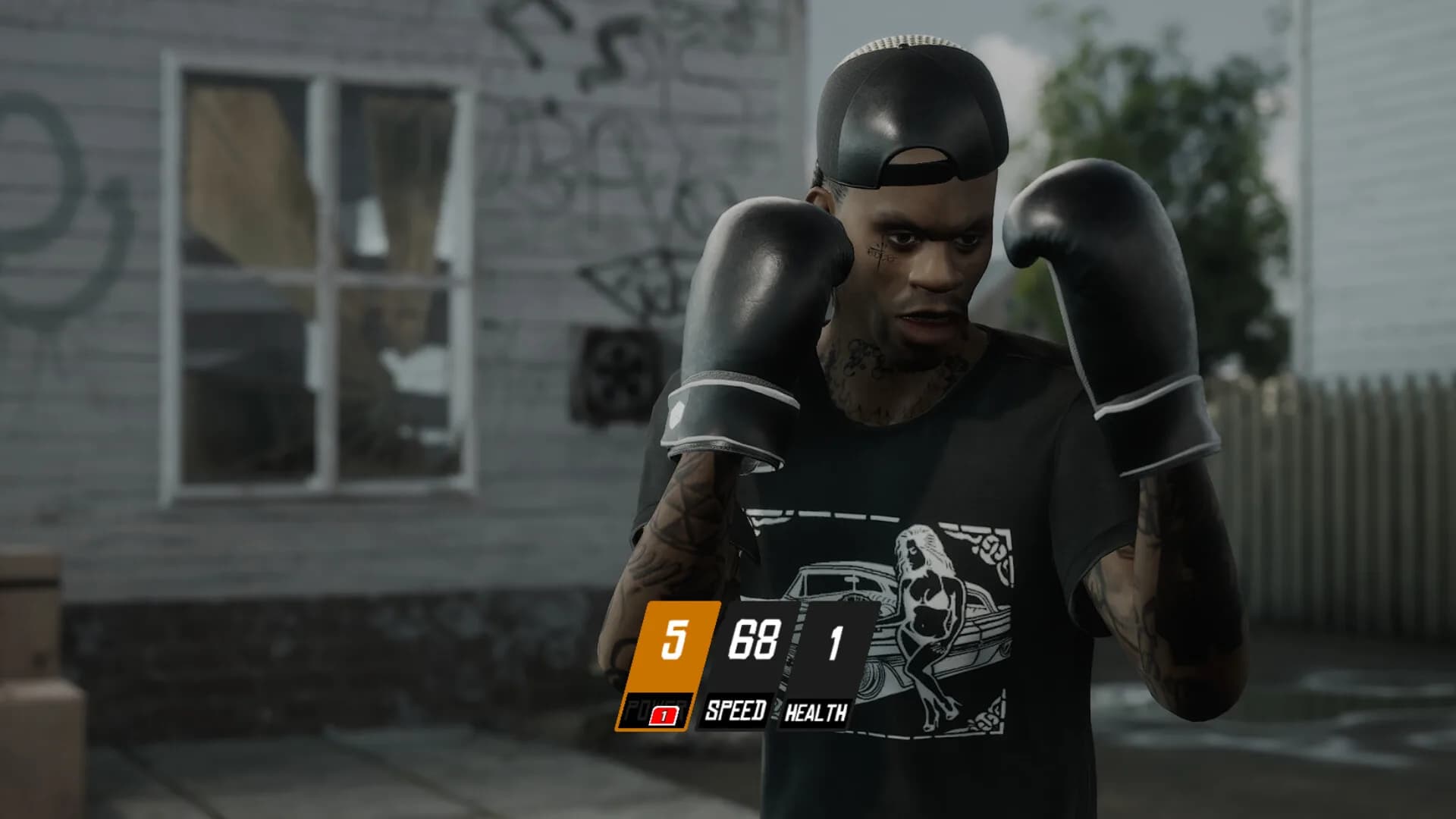 Backyard Boxing görsel 4