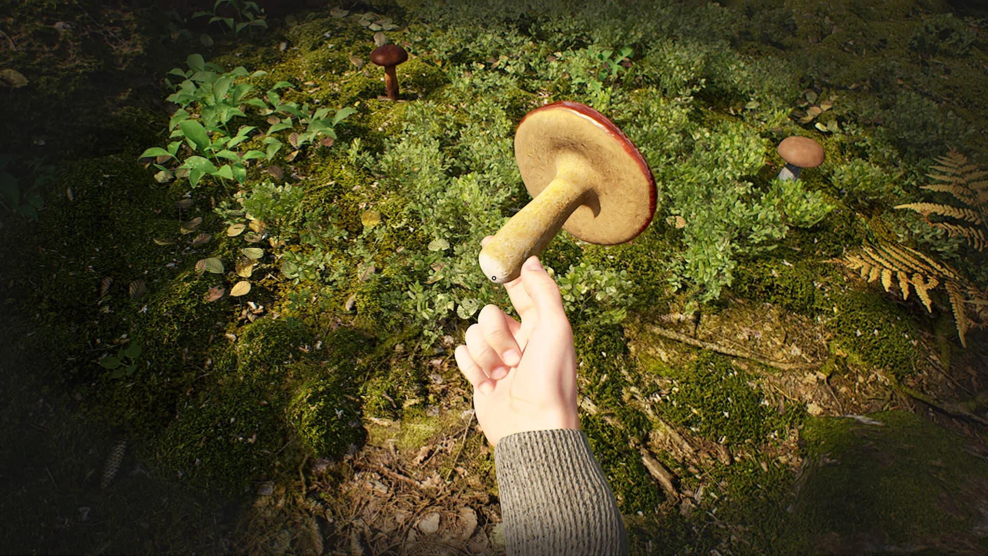 Mushroom Hunter Simulator görsel 3