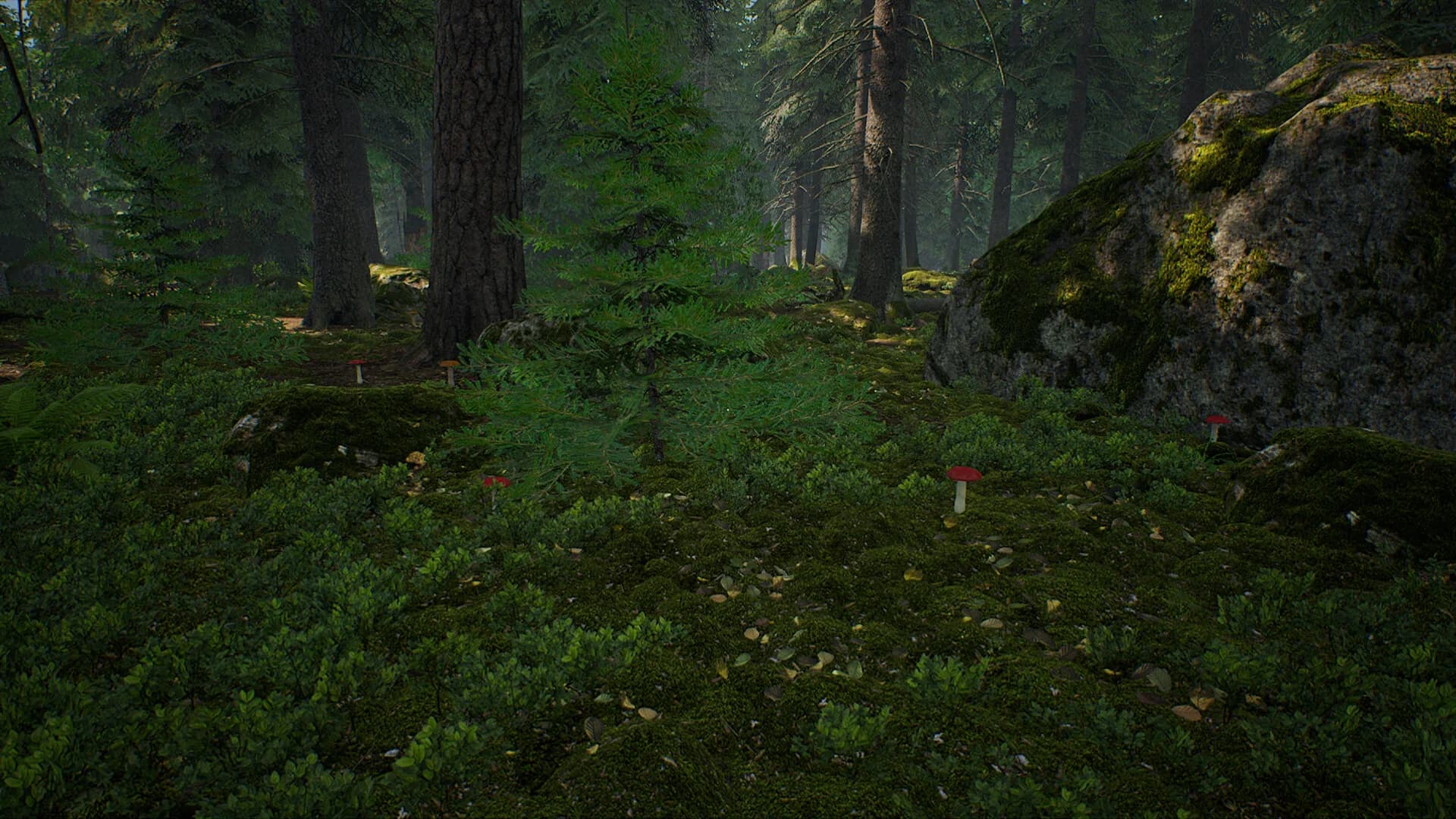 Mushroom Hunter Simulator görsel 12