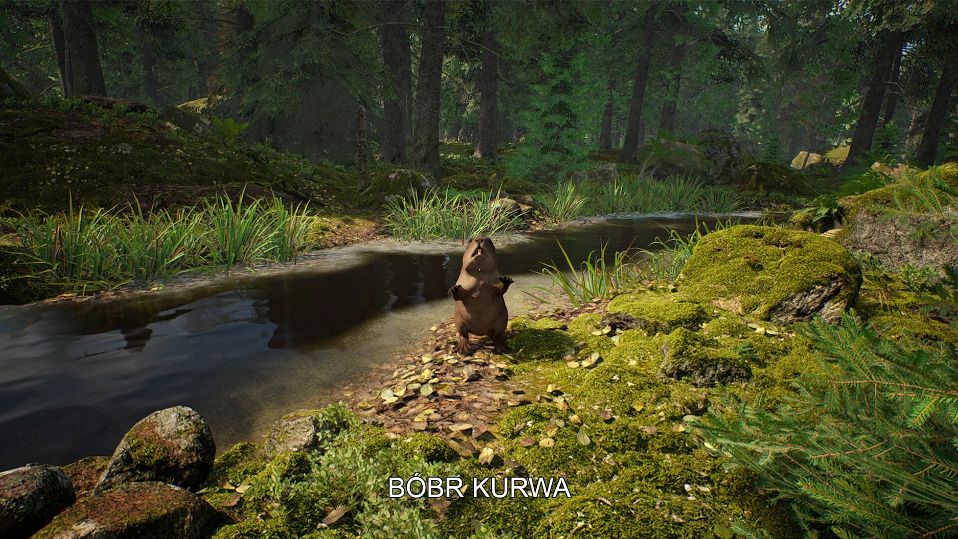 Mushroom Hunter Simulator görsel 5