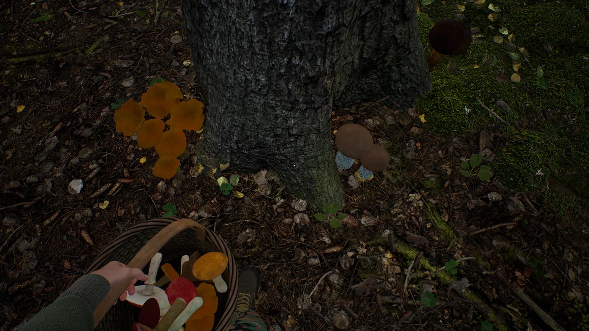 Mushroom Hunter Simulator görsel 6