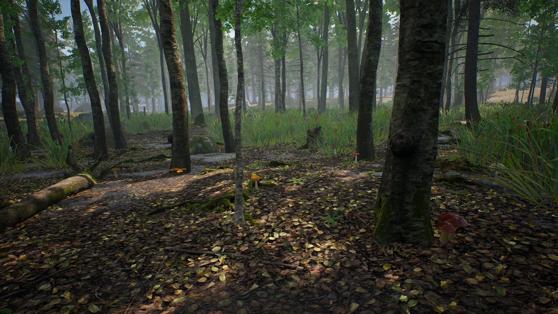 Mushroom Hunter Simulator görsel 8