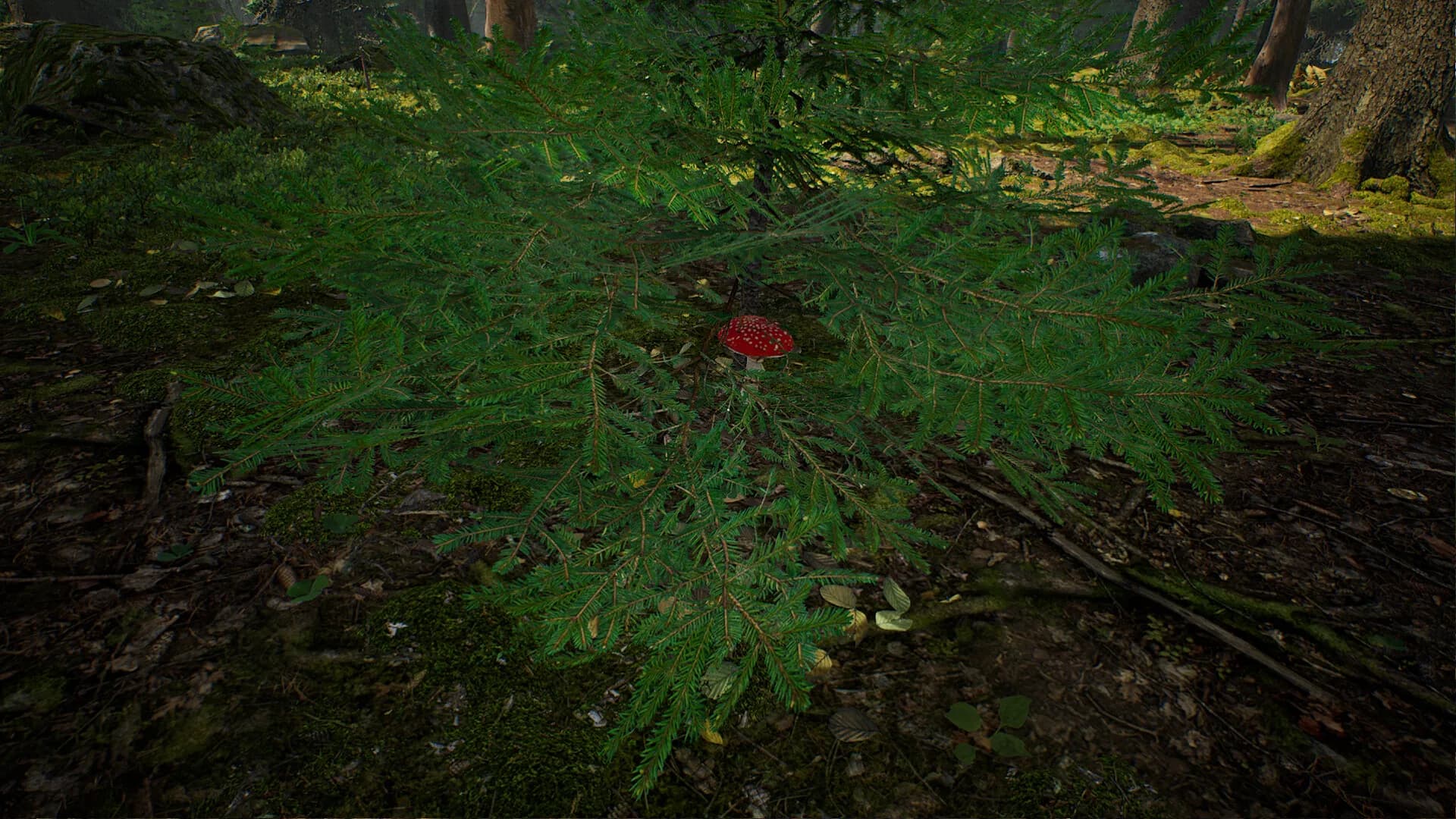 Mushroom Hunter Simulator görsel 9