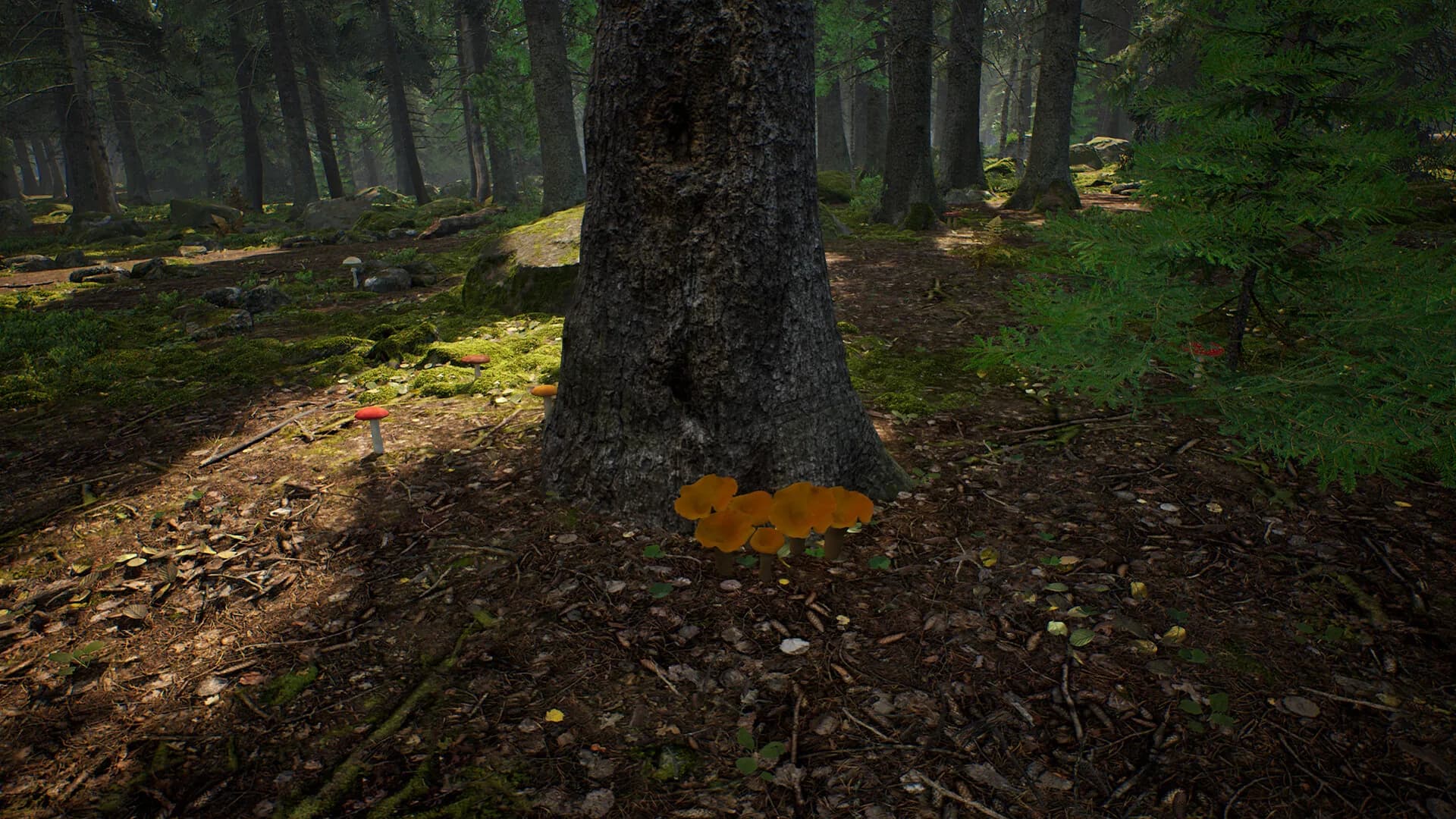 Mushroom Hunter Simulator görsel 10
