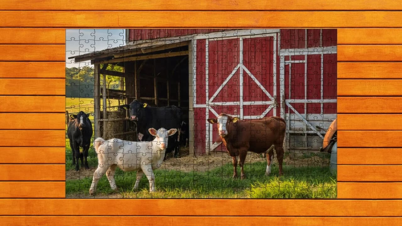 Farmyard Pals Jigsaw Puzzles görsel 3