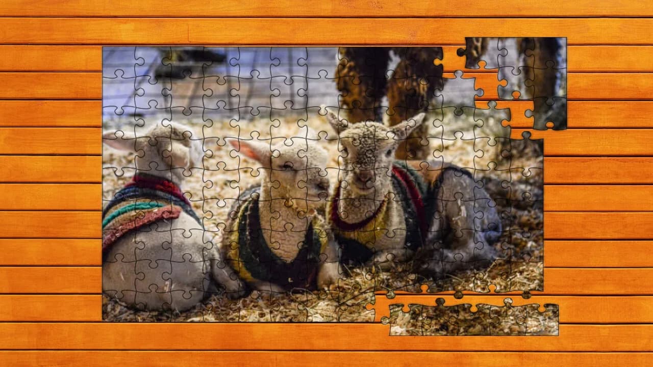 Farmyard Pals Jigsaw Puzzles görsel 5