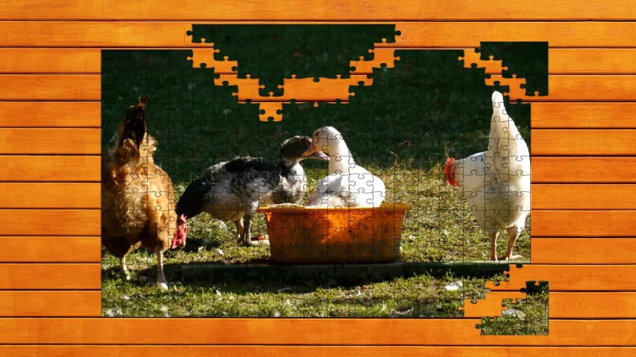 Farmyard Pals Jigsaw Puzzles görsel 6
